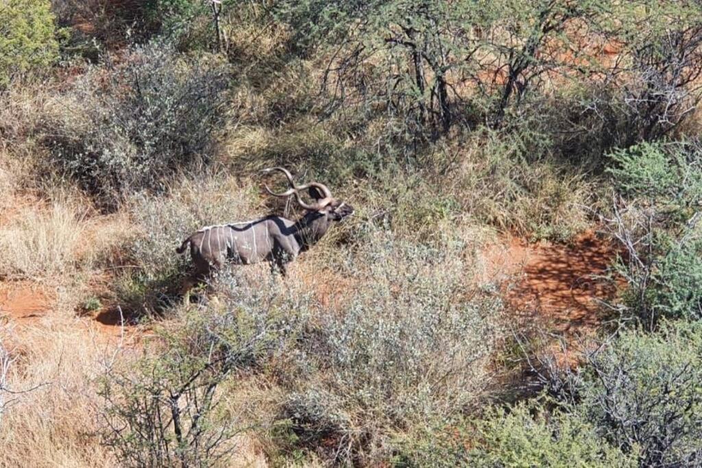 Boabab Lodge Mabula Game Reserve Екстер'єр фото